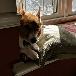 Meet your Posher, Barbara